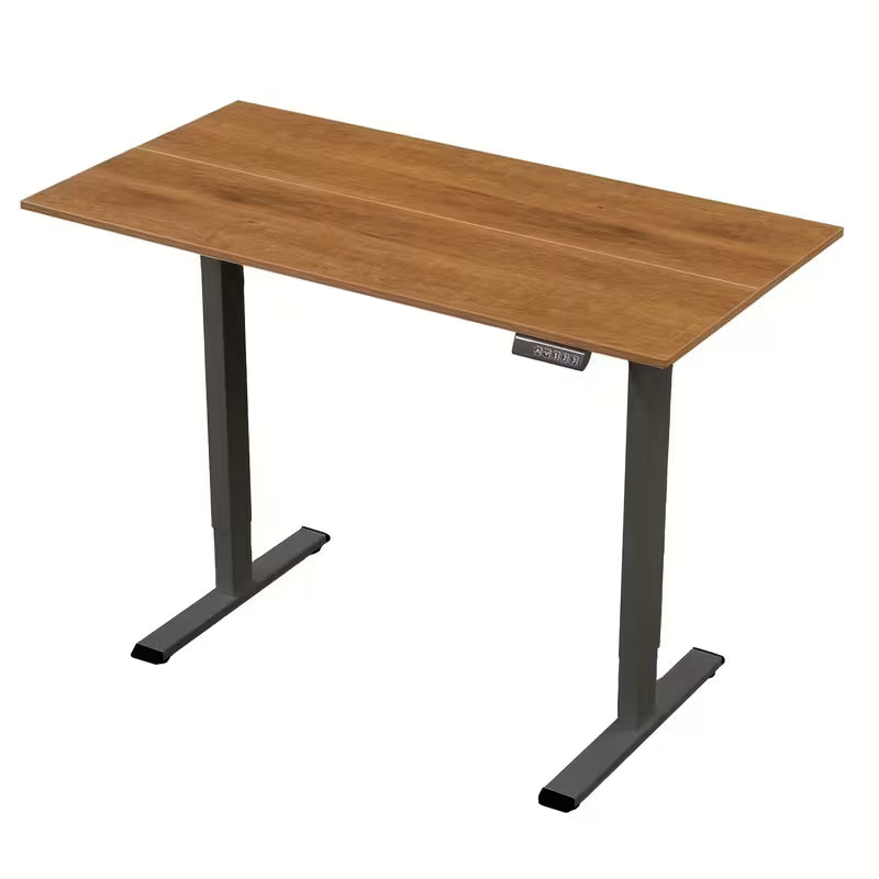 RiseDesk Pro – Electric Standing Desk