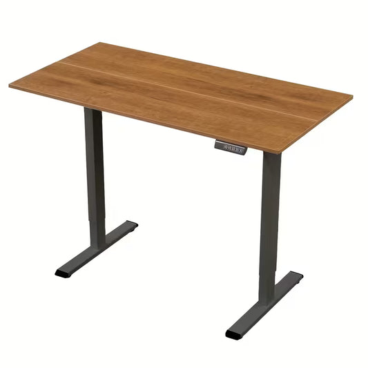RiseDesk Pro – Electric Standing Desk
