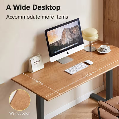 RiseDesk Pro – Electric Standing Desk
